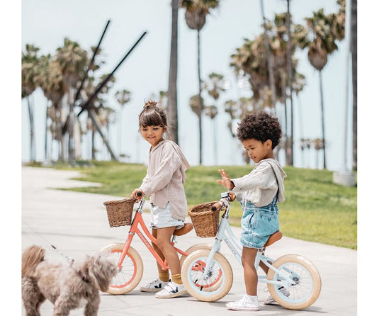 BICICLETA DE IMPULSO VINTAGE